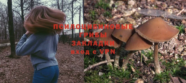 гашишное масло Горняк