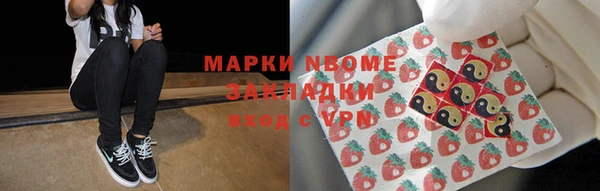 стаф Каменка