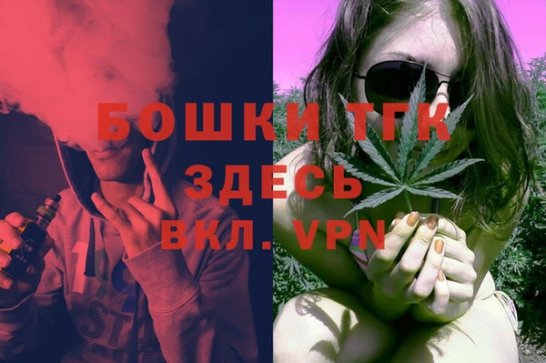 скорость Вяземский