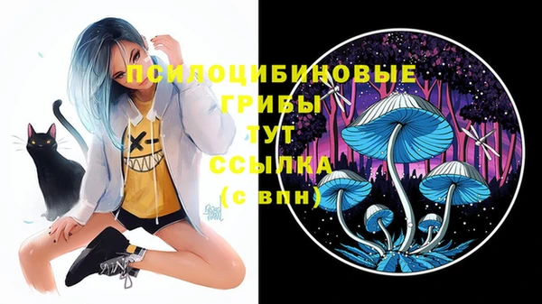 MDMA Вязьма