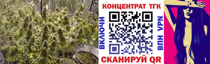 блэк спрут рабочий сайт Жирновск ТГК жижа